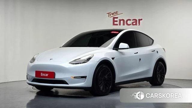 Tesla Model Y 2022 Белый из Кореи