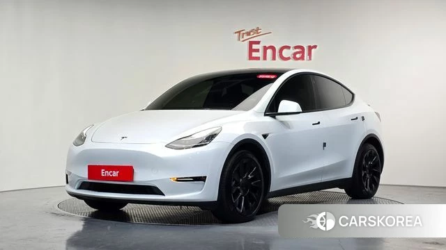 Tesla Model Y 2022 Белый из Кореи