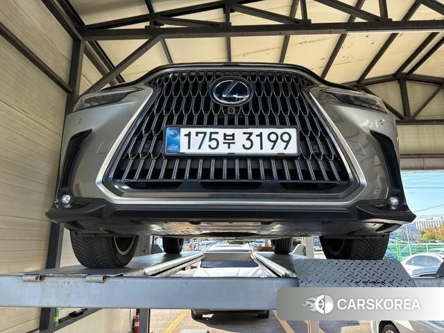 Lexus NX350h Second generation 2025 Серый из Кореи
