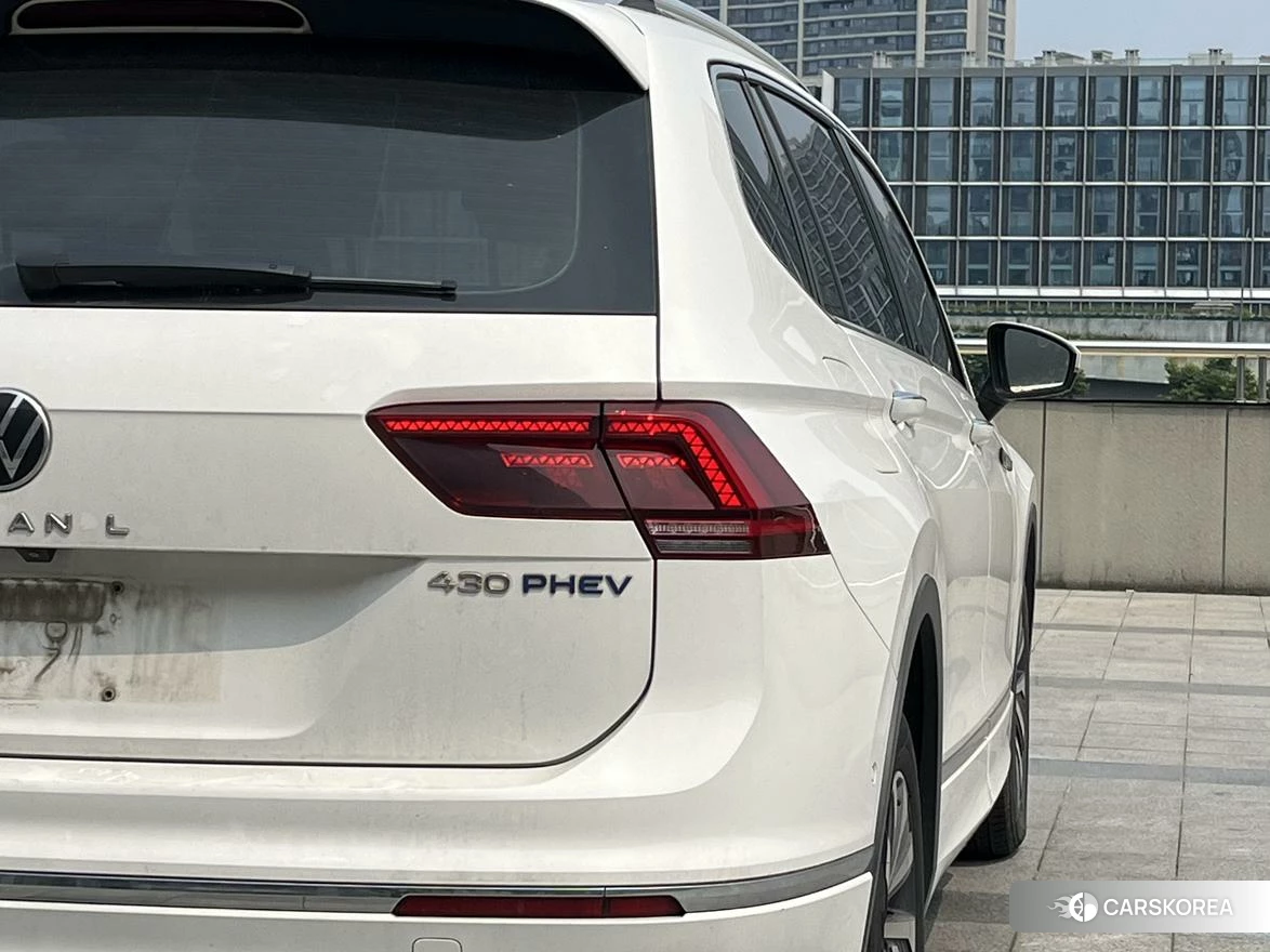 Volkswagen Tiguan L 2020 Белый из Китая