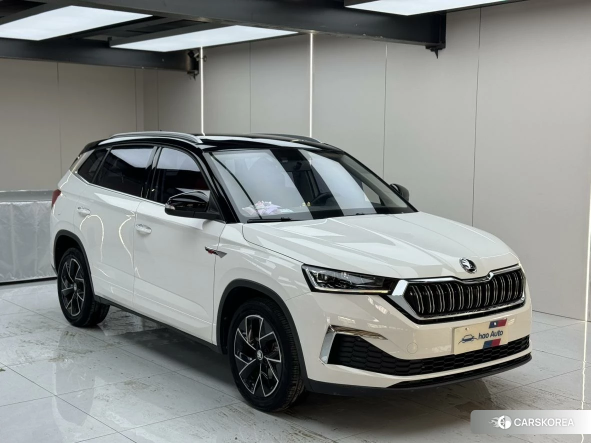 Skoda Kamiq 2022 Белый из Китая