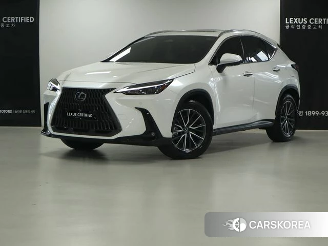 Lexus NX450h + 2nd generation 2025 Белый из Кореи