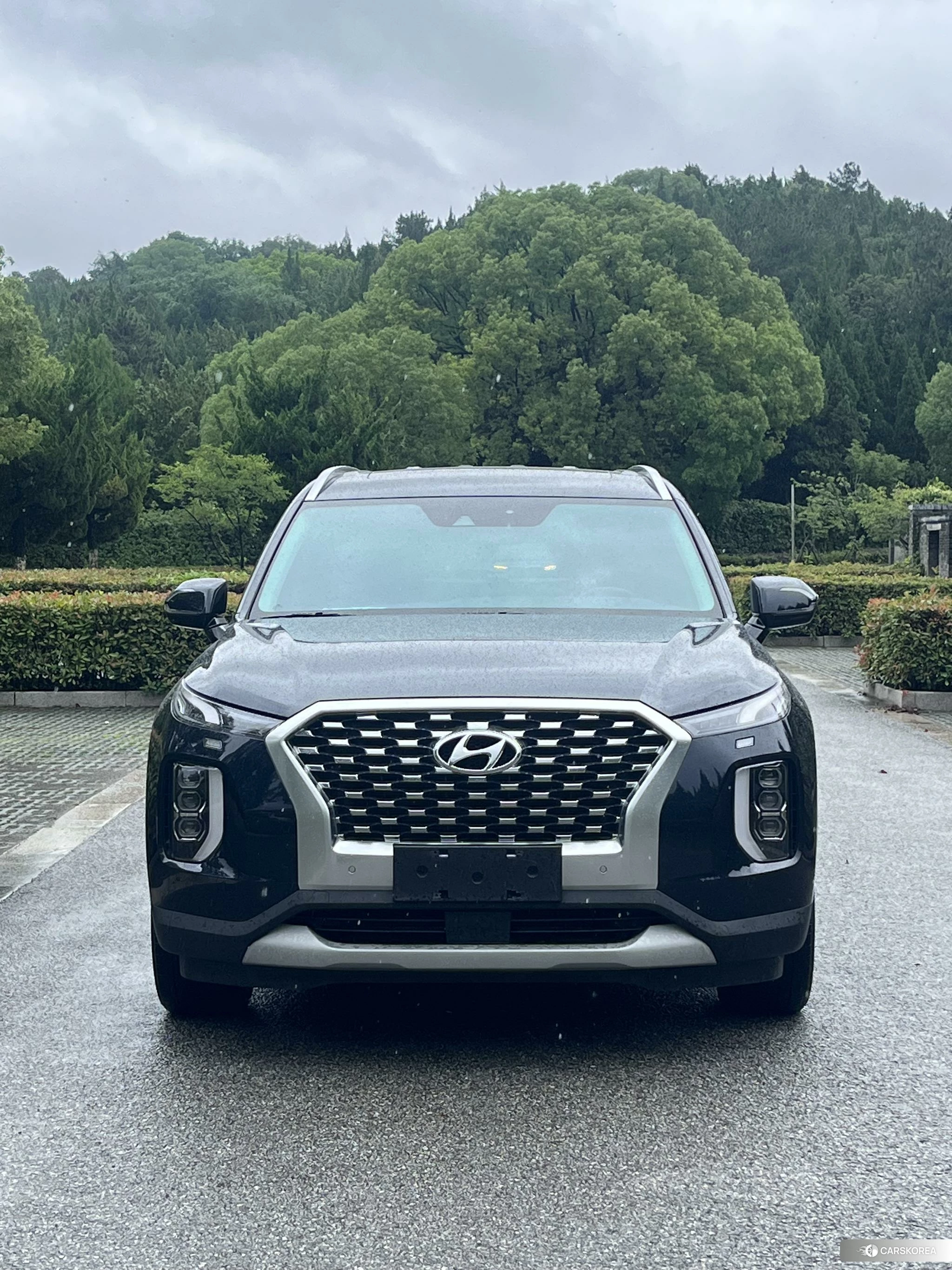 Hyundai Palisade 2020 Черный из Китая