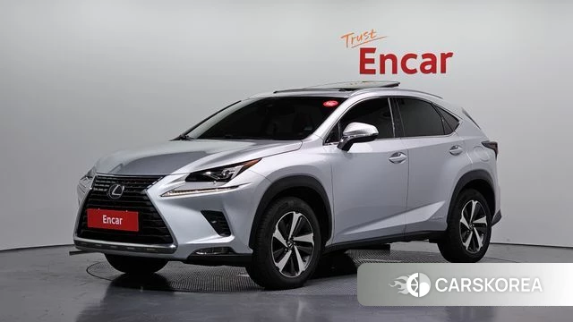 Lexus NX300h 2018 Серебряный из Кореи, фото 2
