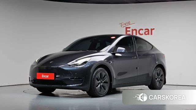 Tesla Model Y 2024 Серый из Кореи