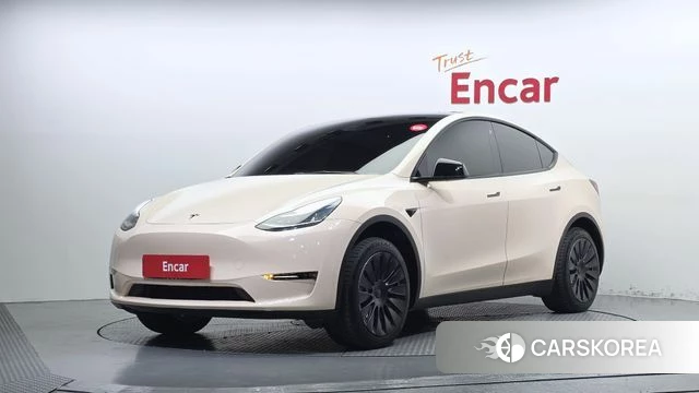Tesla Model Y 2021 Белый из Кореи