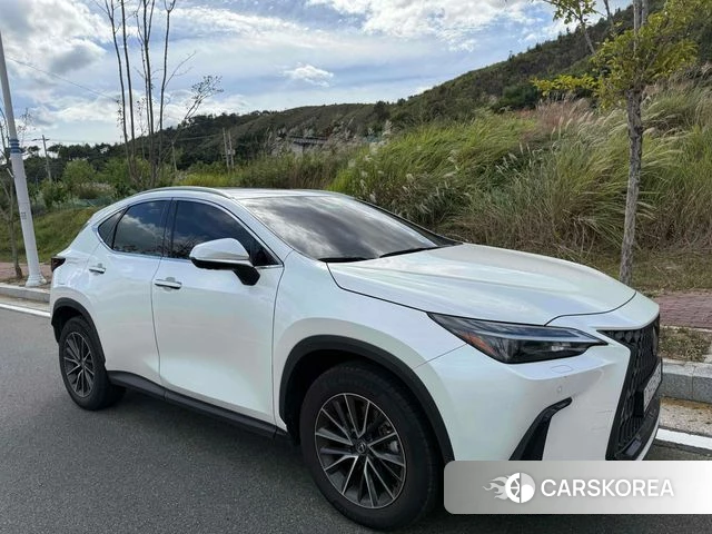 Lexus NX450h + 2nd generation 2024 Белый из Кореи