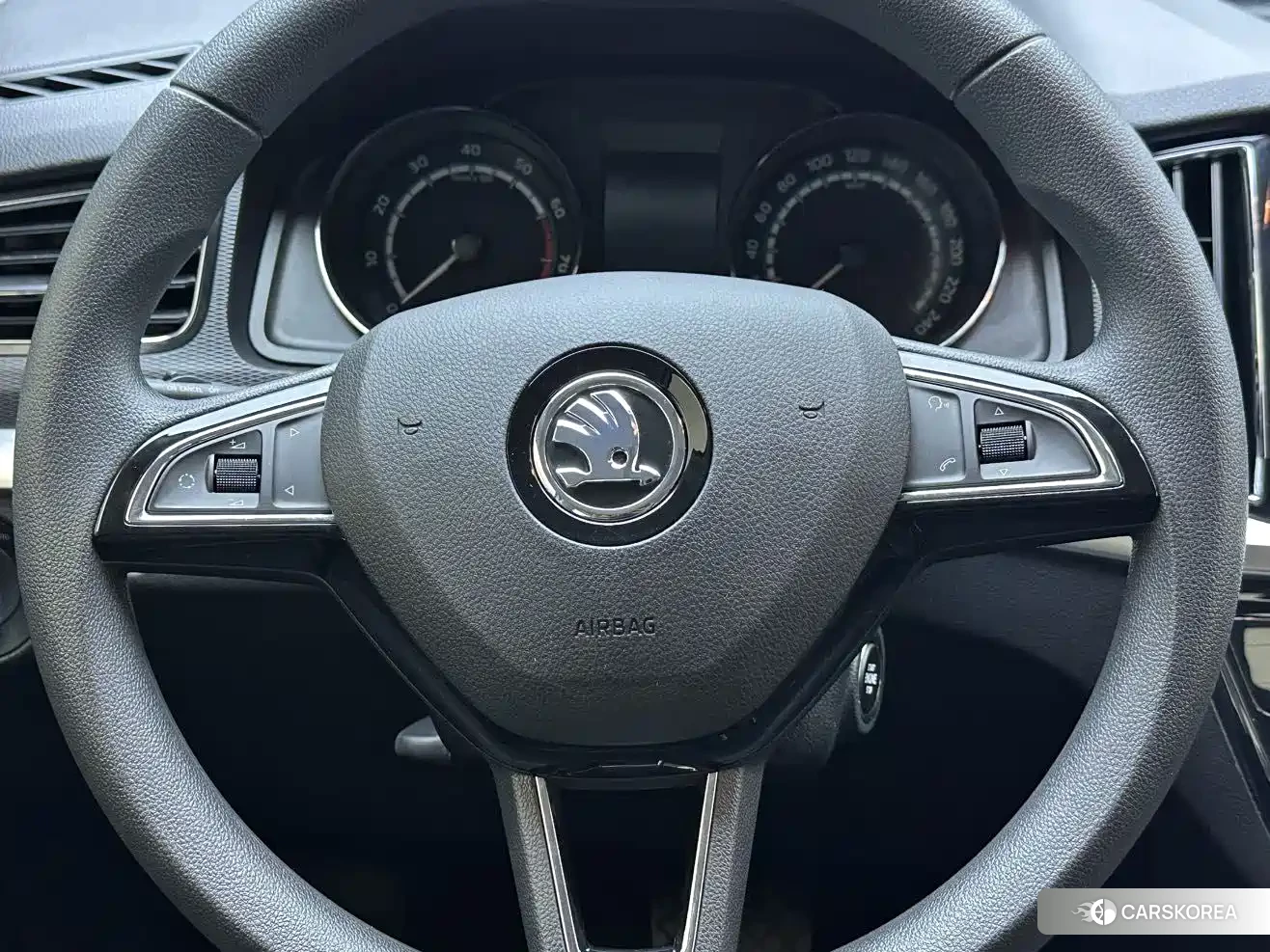 Skoda Kamiq 2022 Белый из Китая
