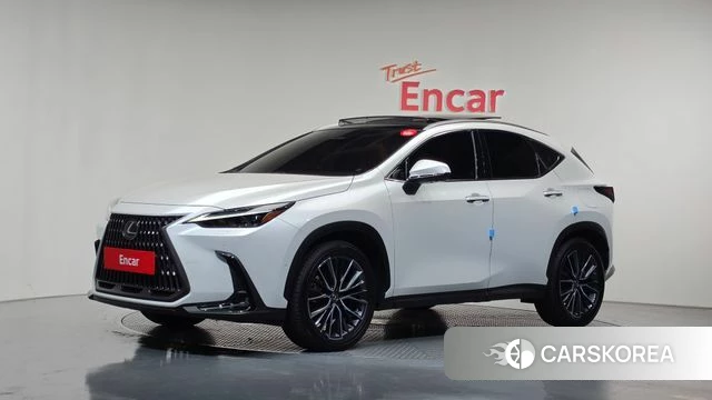 Lexus NX350h Second generation 2025 Белый из Кореи