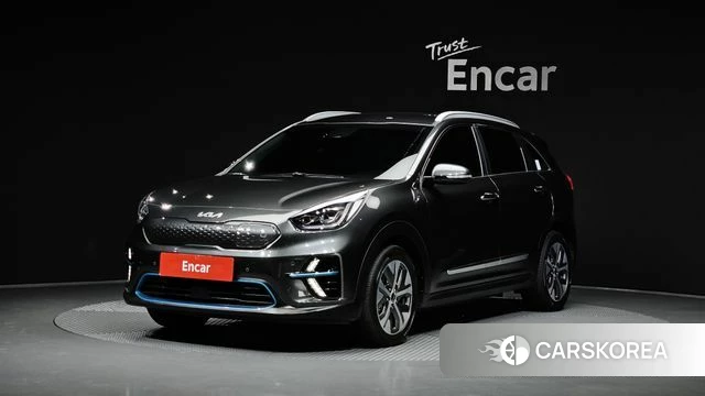 Kia Niro EV 2021 Серый из Кореи