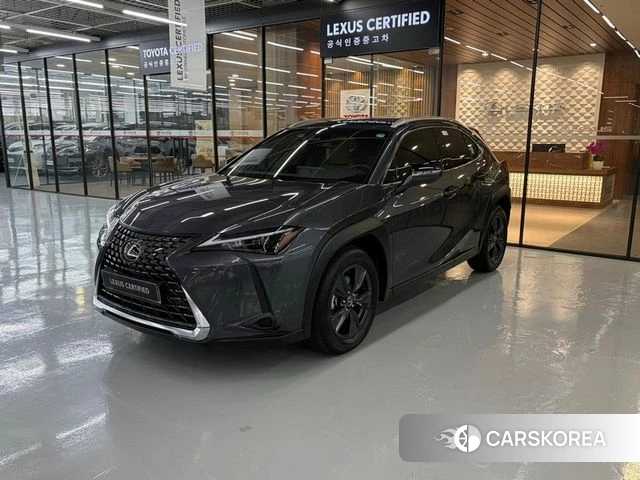 Lexus UX300h 2026 Серый из Кореи