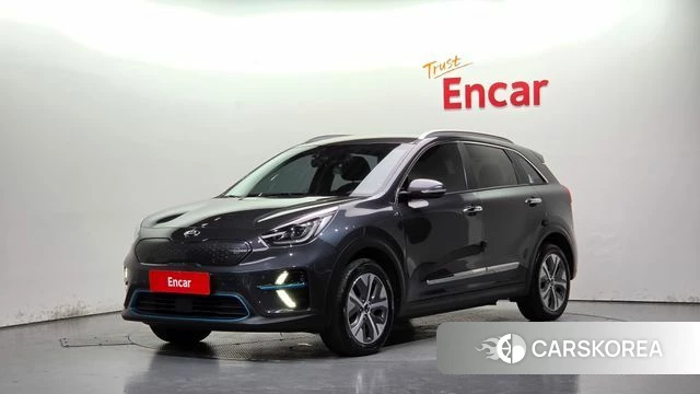 Kia Niro EV 2019 Серый из Кореи
