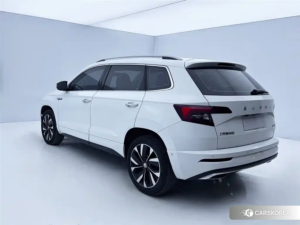 Skoda Karoq 2024 Белый из Китая