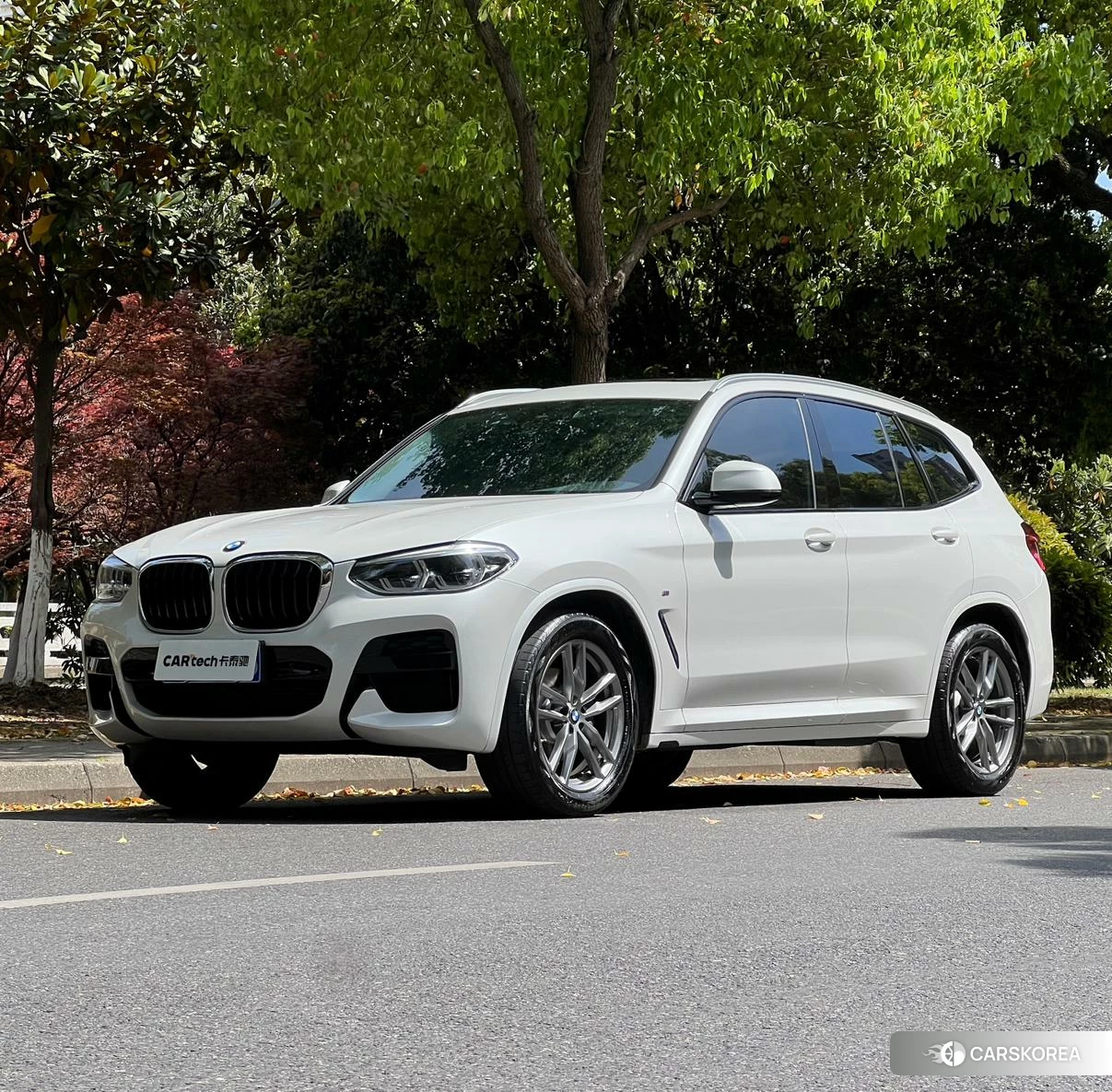 BMW X3 2020 Белый из Китая