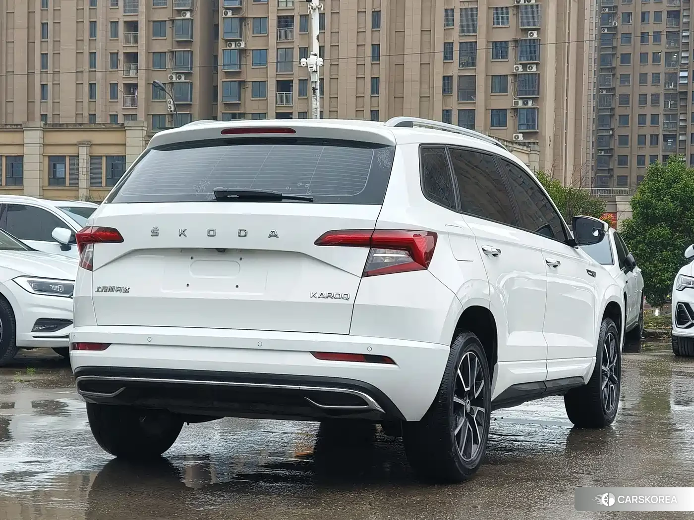 Skoda Karoq 2023 Белый из Китая