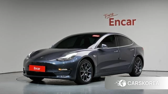 Tesla Model 3 2020 Серый из Кореи