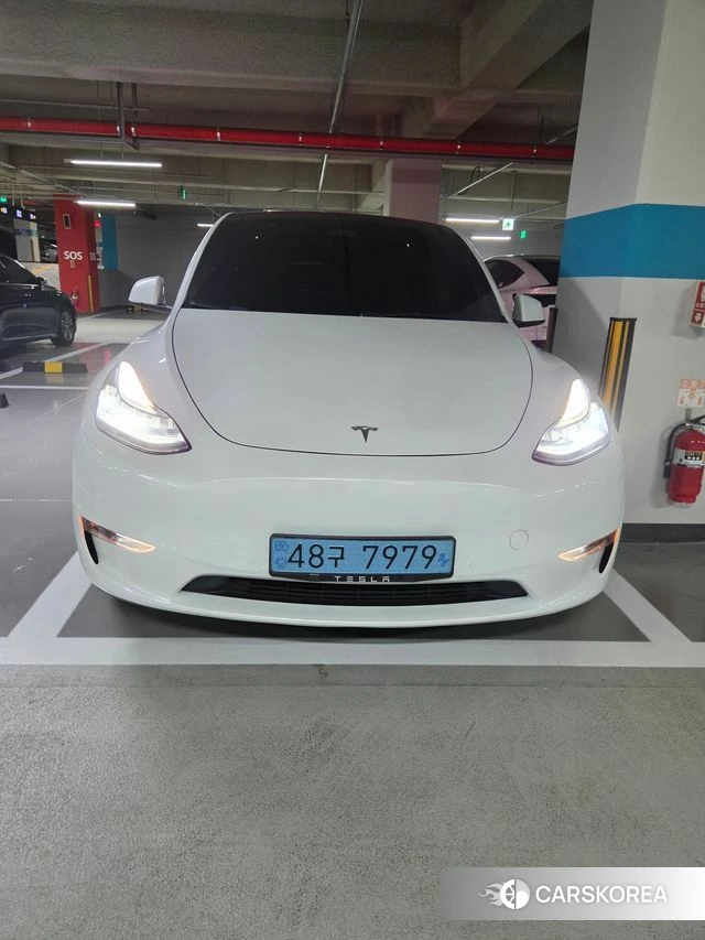 Tesla Model Y 2021 Белый из Кореи