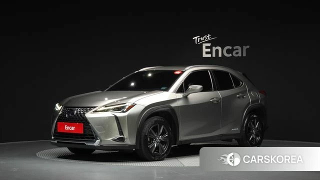 Lexus UX250h 2019 Цвет тростника из Кореи