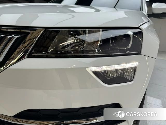 Skoda Karoq 2023 Белый из Китая