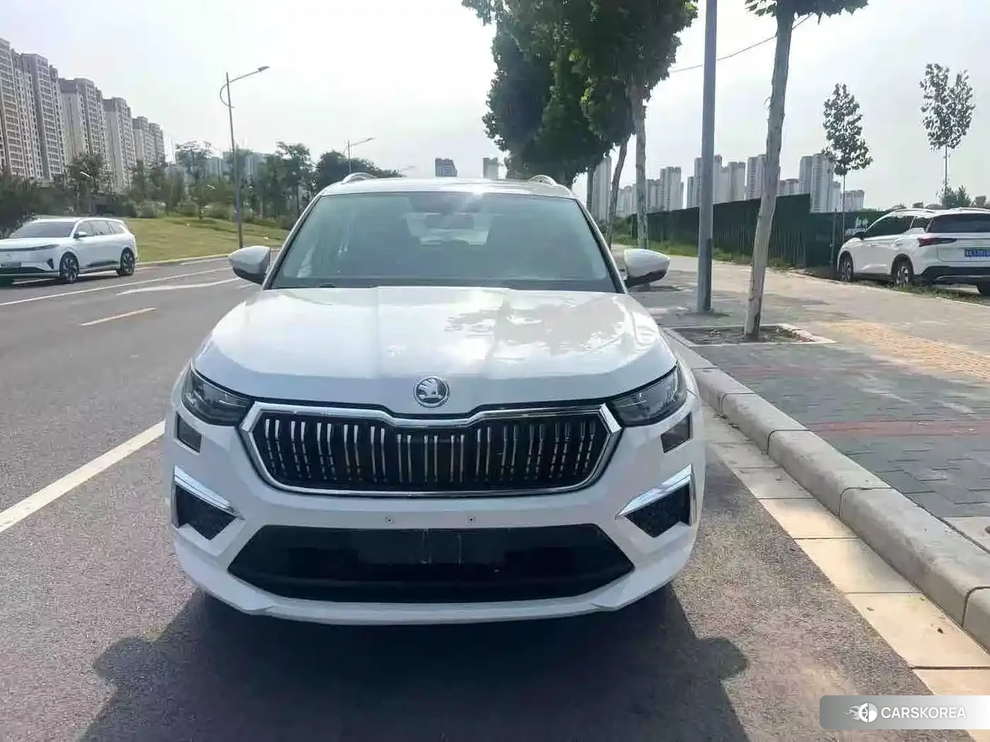 Skoda Kodiaq 2024 Белый из Китая