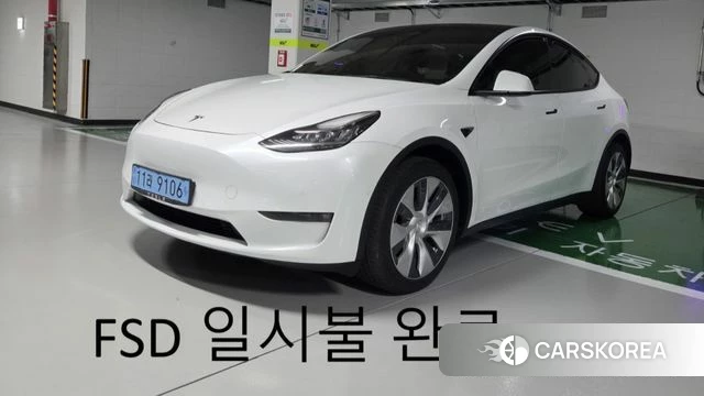 Tesla Model Y 2021 Белый из Кореи