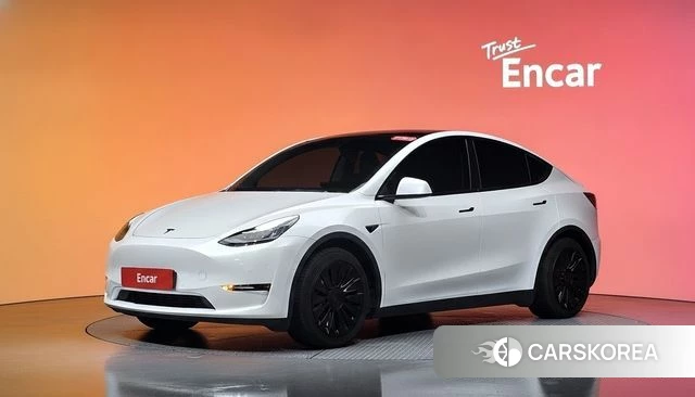 Tesla Model Y 2021 Белый из Кореи
