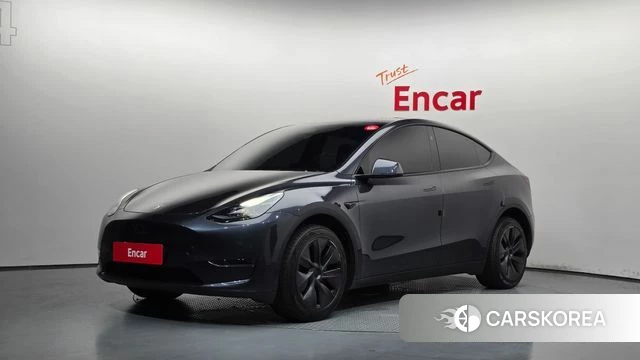 Tesla Model Y 2024 Серый из Кореи