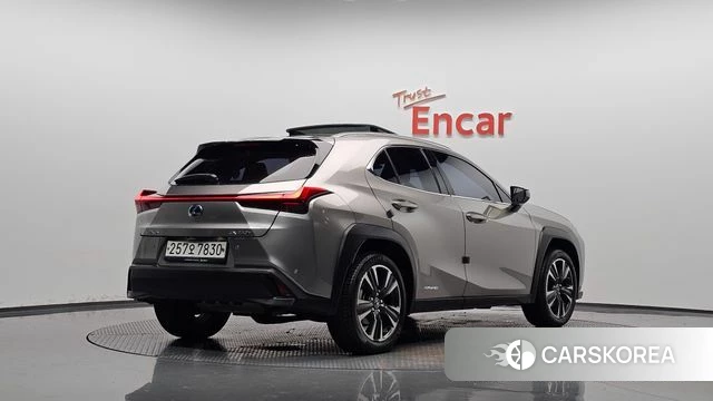 Lexus UX250h 2019 Серебристо-серый из Кореи