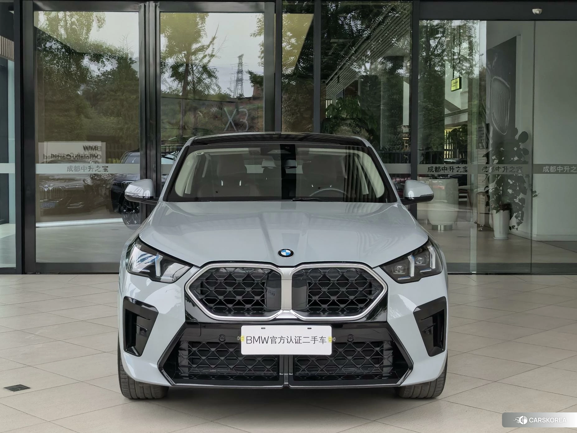 BMW X2 2024 Темно-серый из Китая