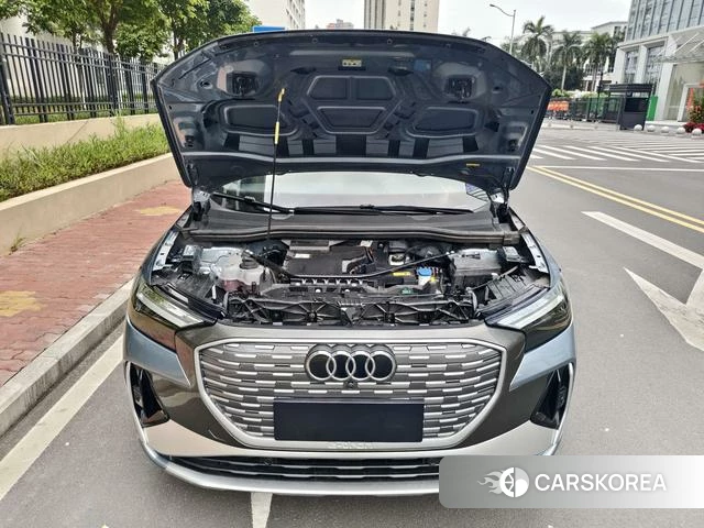 Audi Q4 2024 Другой из Китая