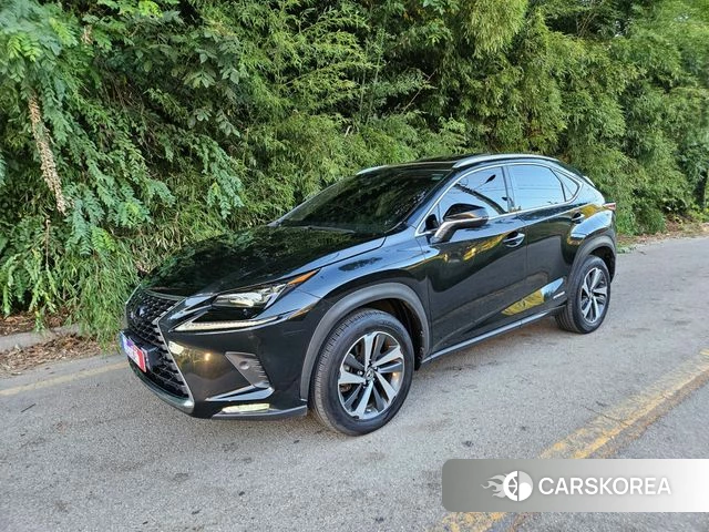 Lexus NX300h 2019 Черный из Кореи