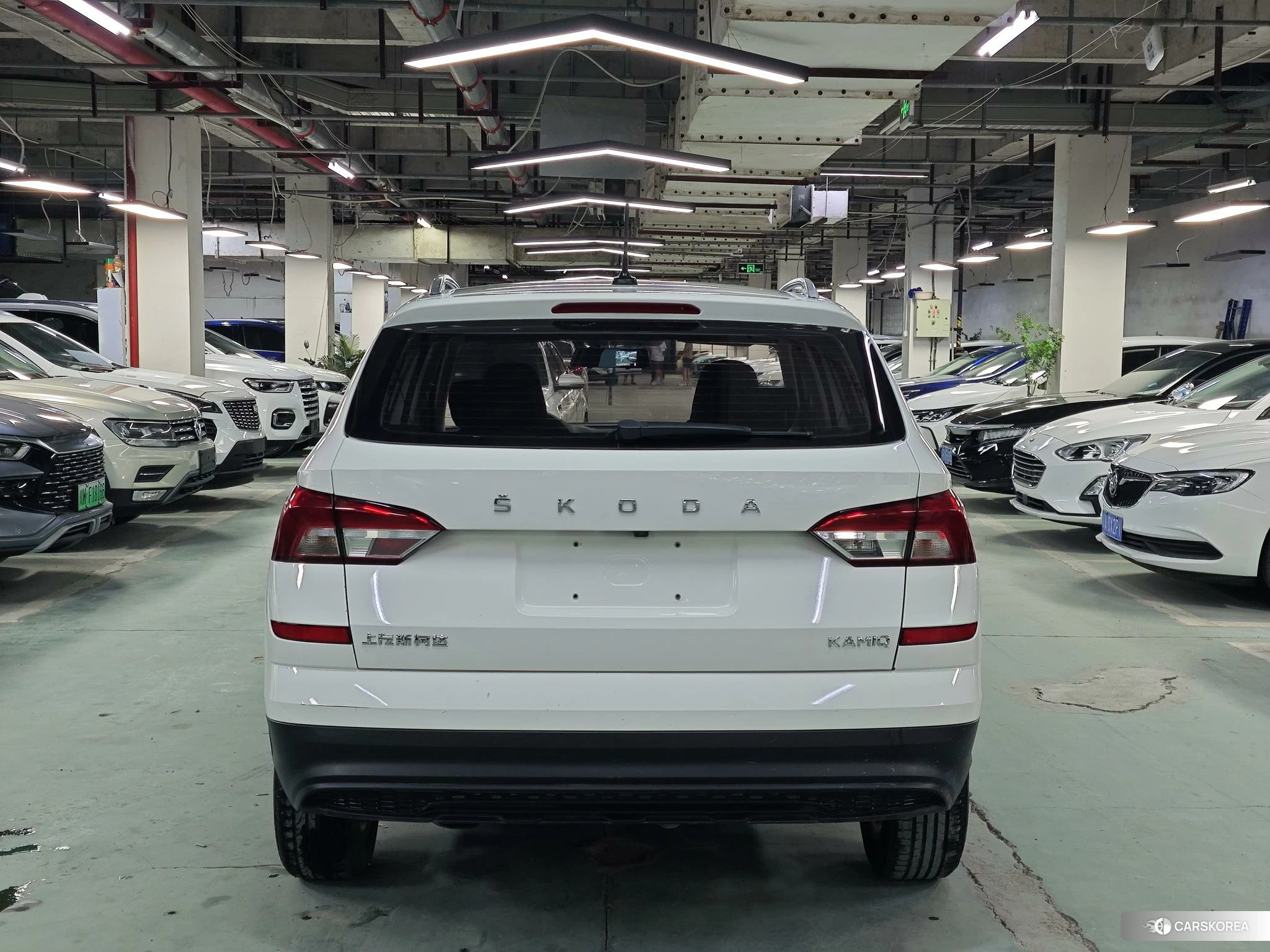 Skoda Kamiq 2020 Белый из Китая