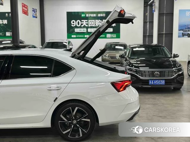 Skoda Octavia 2024 Белый из Китая
