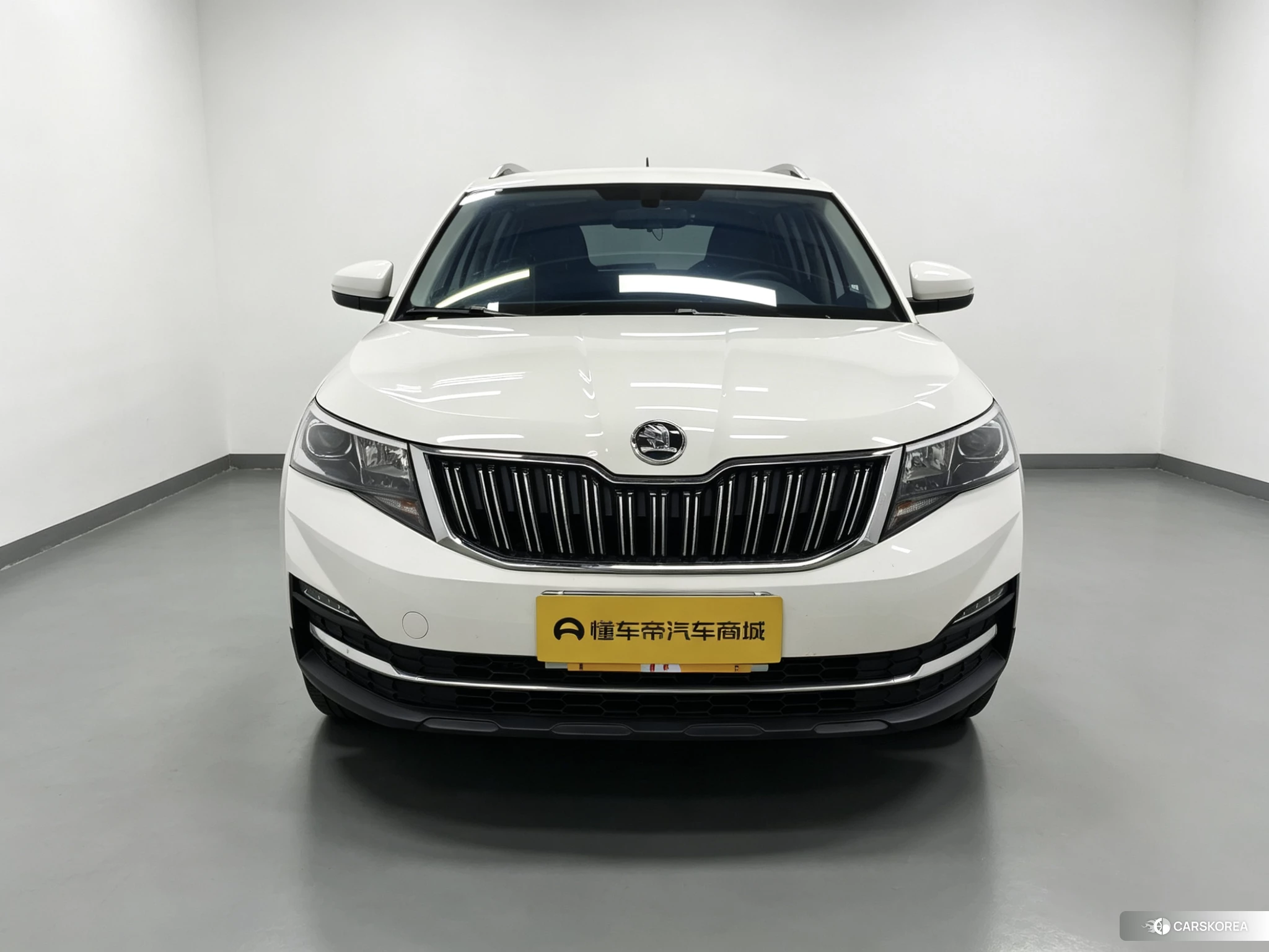 Skoda Kamiq 2020 Белый из Китая