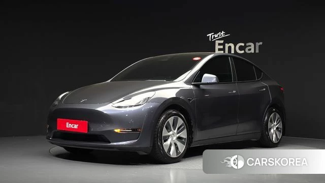 Tesla Model Y 2021 Серый из Кореи