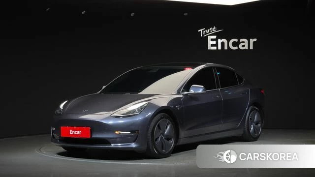 Tesla Model 3 2019 Серый из Кореи