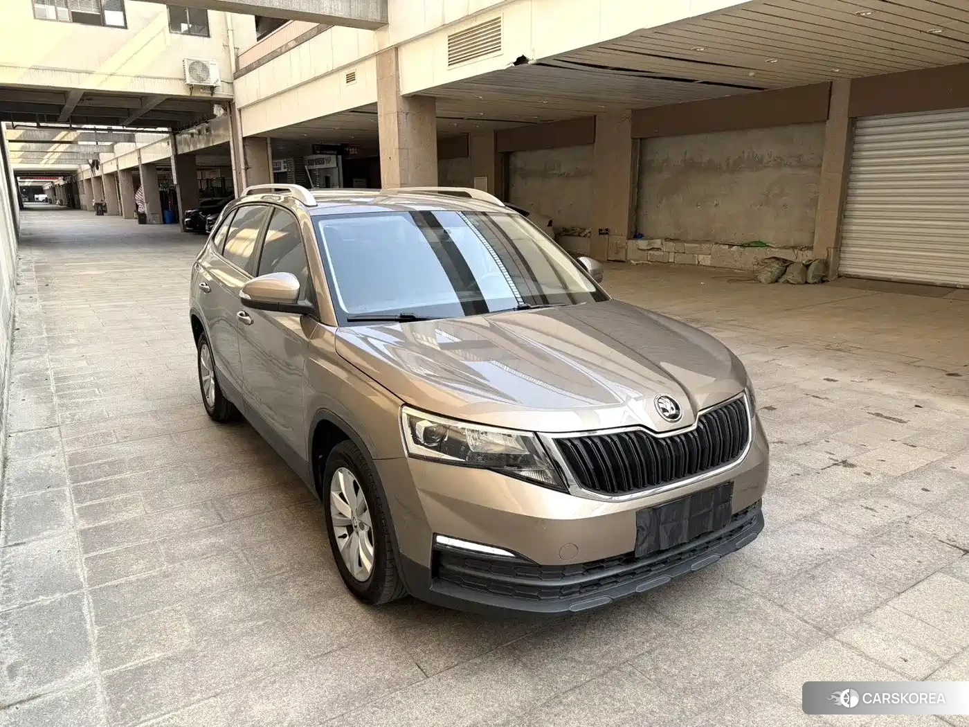 Skoda Kamiq 2021 Silver/gray из Китая