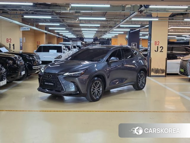 Lexus NX450h + 2nd generation 2023 Серый из Кореи