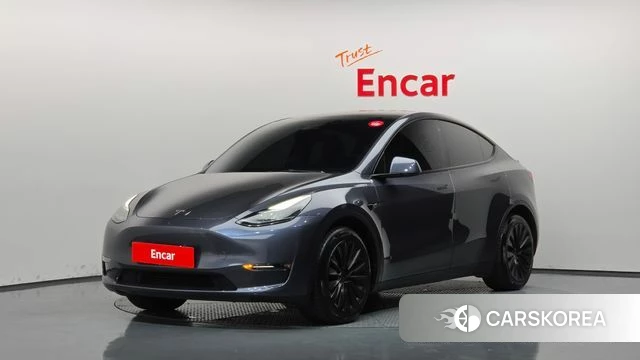 Tesla Model Y 2023 Серый из Кореи