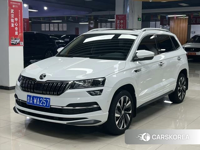 Skoda Karoq 2023 Белый из Китая