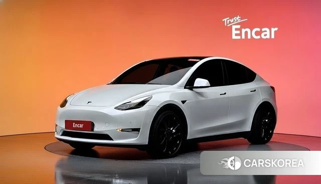 Tesla Model Y 2022 Белый из Кореи