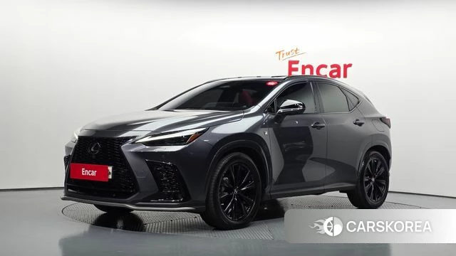 Lexus NX450h + 2nd generation 2022 Серый из Кореи