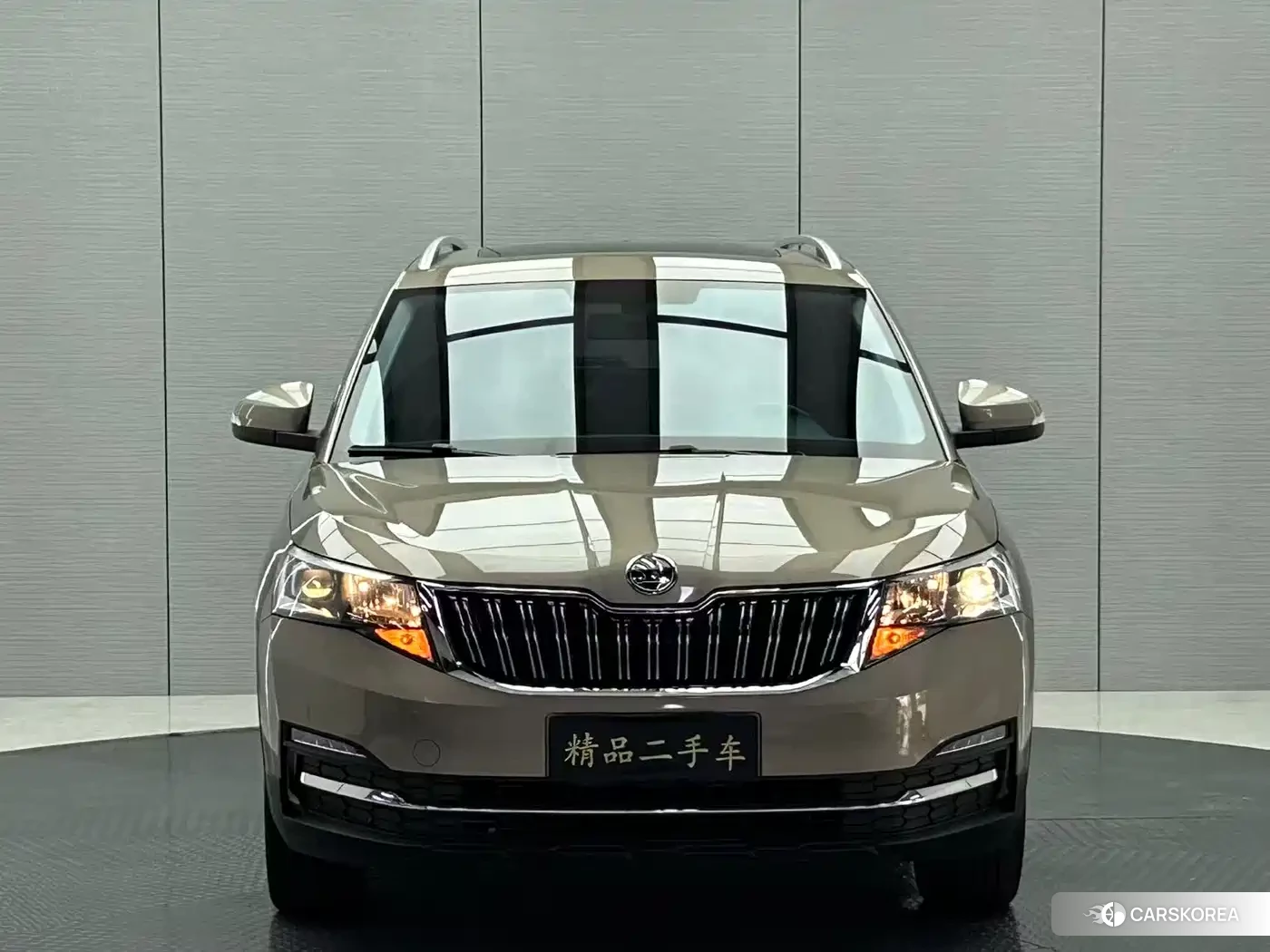 Skoda Kamiq 2023 Champagne/brown из Китая, фото 2