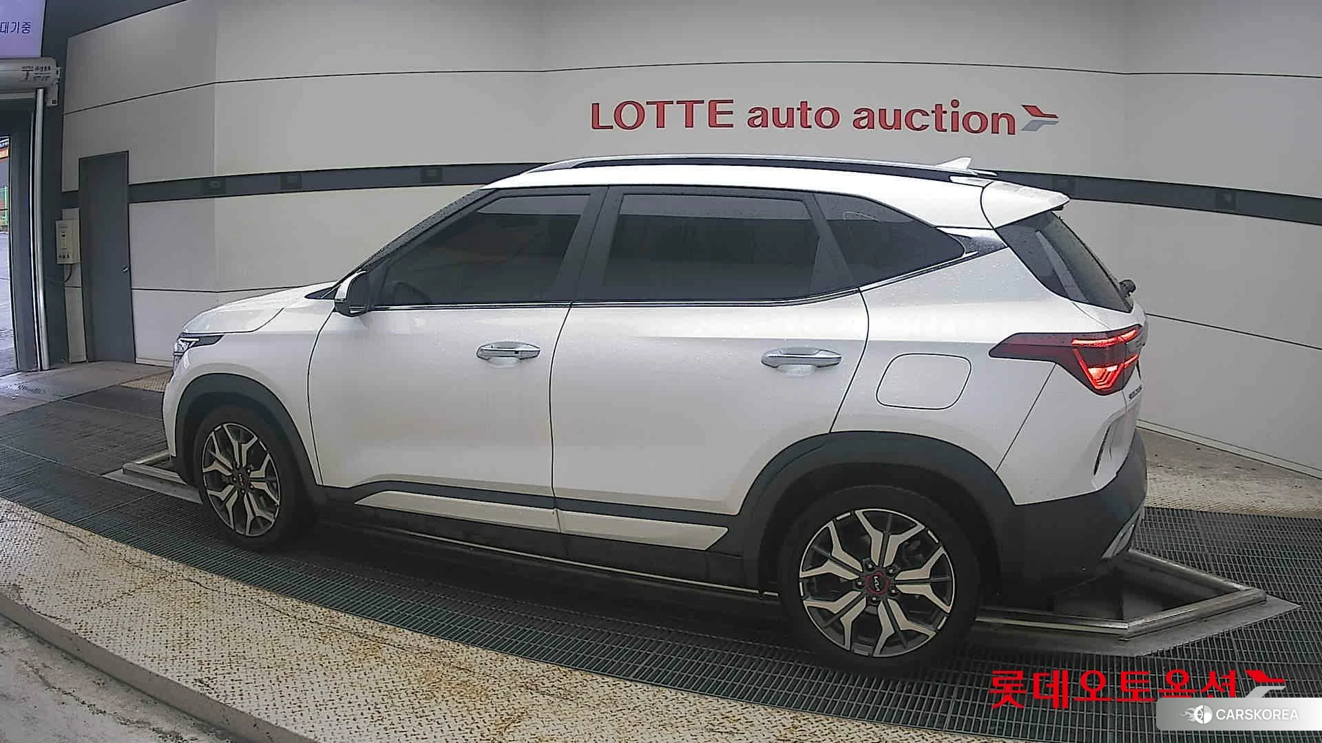 Kia Seltos 2022 Snow White Pearl из Кореи, фото 2