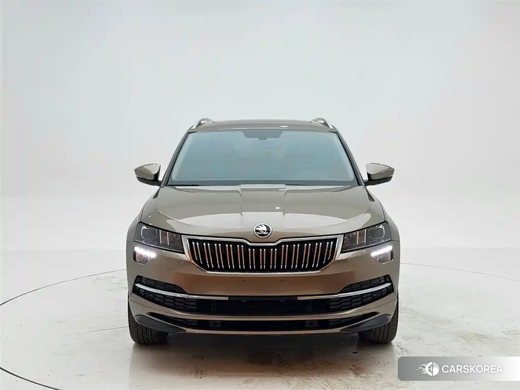Skoda Karoq 2022 Champagne/brown из Китая, фото 2