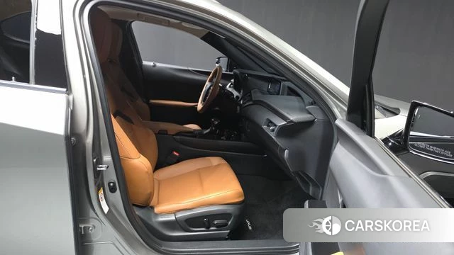 Lexus UX250h 2019 Цвет тростника из Кореи, фото 2