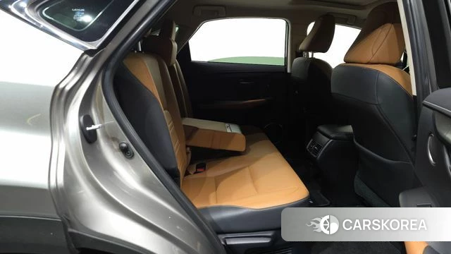Lexus NX300h 2019 Песочный из Кореи, фото 2