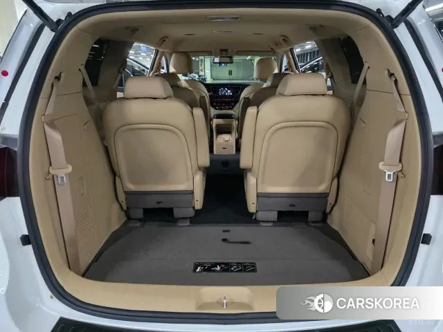 Kia The New Carnival 2019 Жемчужный цвет из Кореи, фото 2