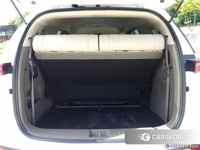 Kia The New Carnival 2021 Белый из Кореи, фото 2