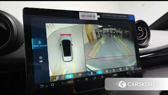 BYD Dolphin 2026 Жемчужный цвет из Кореи, фото 2
